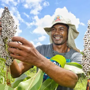 Sistemas Agrícolas Resilientes instalados no Semiárido baiano irão assegurar a perpetuação de sementes livres de transgenia