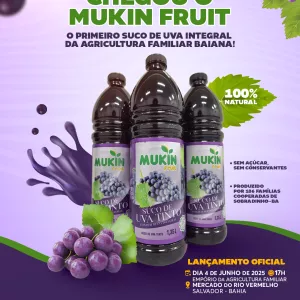 Bahia lança primeiro suco de uva integral da agricultura familiar