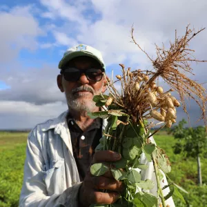 Chegada do São João aquece as vendas e fortalece quem vive da agricultura familiar
