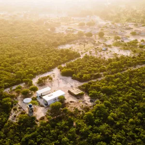 Bahia celebra o Dia Mundial do Meio Ambiente com avanços em sustentabilidade, conservação e geração de renda