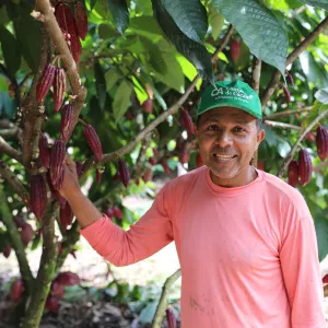 Bahia celebra Dia Mundial do Chocolate destacando a qualidade da produção da agricultura familiar
