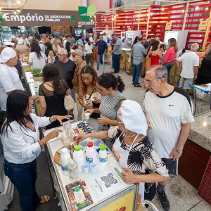 Queijos do Semiárido baiano ganham ouro em premiação nacional