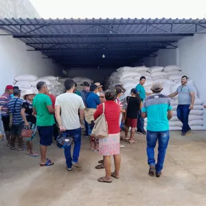 Mais de 33 mil famílias do Semiárido baiano são beneficiadas com entrega de milho para ração animal