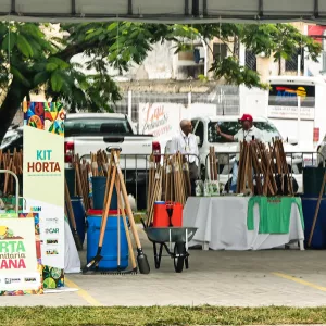 Kits para hortas comunitárias amplia produção de  alimentos em 100 municípios baianos  