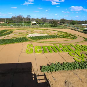 Vila da Economia Solidária destaca produção baiana na 11ª edição do Semiárido Show