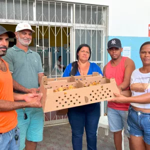 Entrega de kits de avicultura caipira promove inclusão produtiva e geração de renda no Recôncavo Baiano