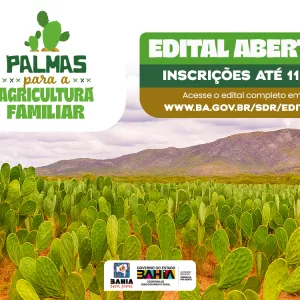 Governo do Estado lança chamada pública para produção e distribuição de mudas de palma forrageira