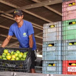 Unidade de Beneficiamento de Frutas fortalece agricultura familiar em Rio Real