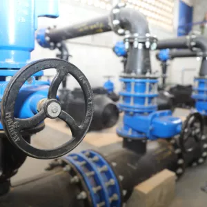 Governo da Bahia entrega 120 hectares irrigados a famílias assentadas em Ponto Novo