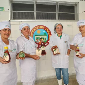 Mel produzido pela agricultura familiar fortalece a alimentação escolar no Semiárido Baiano