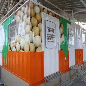 Agricultura familiar da Bahia ganha primeira unidade de classificação de ovos em container