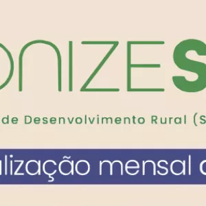 SINTONIZE: BOLETIM MENSAL