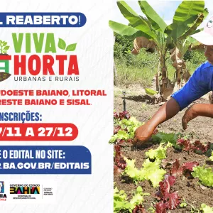 Governo da Bahia reabre seleção do projeto Viva Horta para ampliar cobertura em três territórios