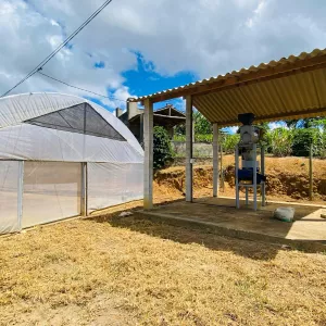 Governo do Estado impulsiona cadeia produtiva do café em Nova Canaã com novos equipamentos e infraestrutura