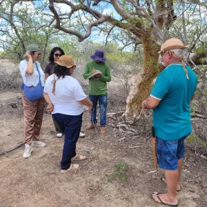 Oficiais do FIDA visitam experiências desenvolvidas pela CAR no Semiárido baiano