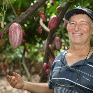 Governo da Bahia ganha protagonismo nacional com articulação para suspensão de importações de cacau da Costa do Marfim