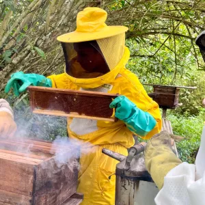 Governo da Bahia fortalece a apicultura no Recôncavo com entrega de 220 kits