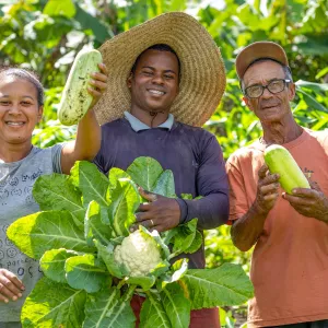 Bahia implementa Estratégia de Crédito Assistido e amplia acesso ao Programa Nacional de Fortalecimento da Agricultura Familiar