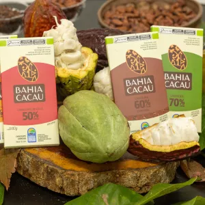 Bahia Cacau: pioneira no chocolate da agricultura familiar