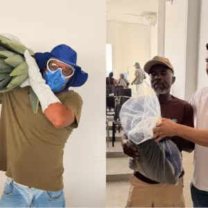 Capacitação e entrega de EPIs beneficiam trabalhadores do sisal em Várzea Nova
