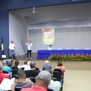 Estratégias para valorização do cacau 