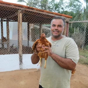Governo da Bahia entrega 40 galinheiros e fortalece produção de ovos caipiras em Macajuba