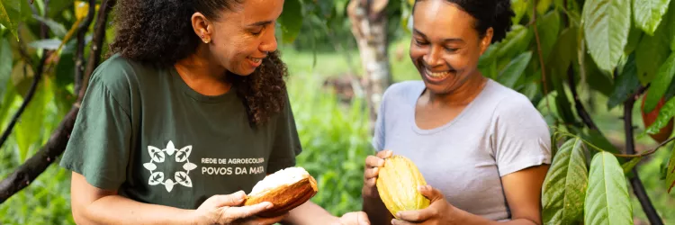 Agroecologia fortalece agricultura familiar na Bahia com foco em biodiversidade, certificação e sustentabilidade