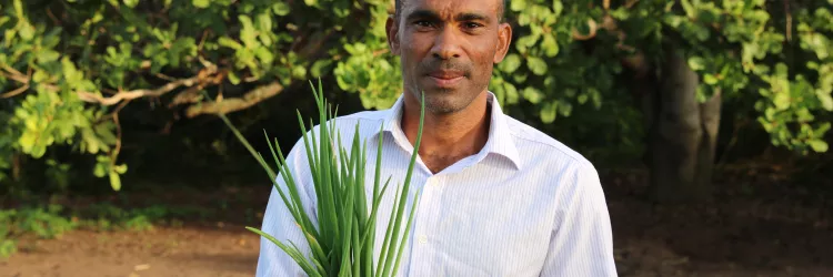 Viva Horta impulsiona a agricultura familiar e transforma a realidade de famílias de Santo Estêvão