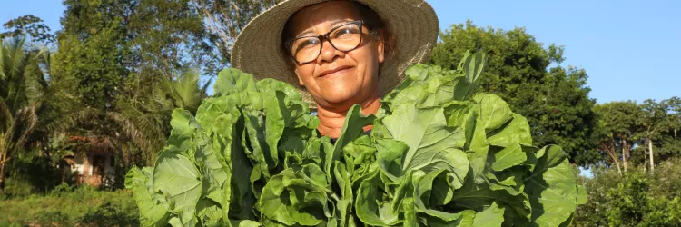 Agricultura familiar e meio ambiente:  Bahia aposta em políticas públicas para garantir futuro sustentável