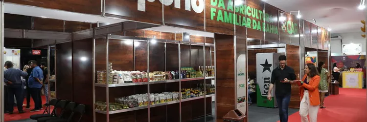 Chocolat Festival Bahia 2025 destaca protagonismo  da agricultura familiar na capital do cacau