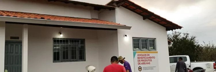 Com agroindústria requalificada, apicultores de Anagé miram novos mercados com a produção de mel