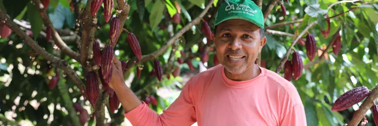 Bahia celebra Dia Mundial do Chocolate destacando a qualidade da produção da agricultura familiar