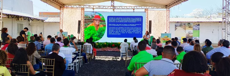 Governo do Estado apresenta Projeto Sertão Vivo aos territórios baianos