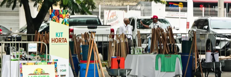 Kits para hortas comunitárias amplia produção de  alimentos em 100 municípios baianos  