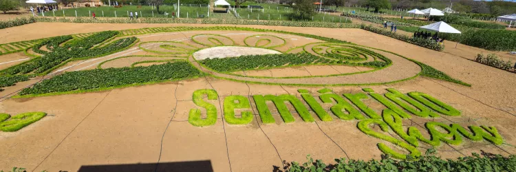 Vila da Economia Solidária destaca produção baiana na 11ª edição do Semiárido Show