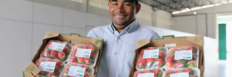 Nova unidade de beneficiamento impulsiona produção de frutas vermelhas na Chapada Diamantina
