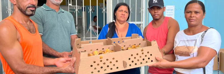 Entrega de kits de avicultura caipira promove inclusão produtiva e geração de renda no Recôncavo Baiano