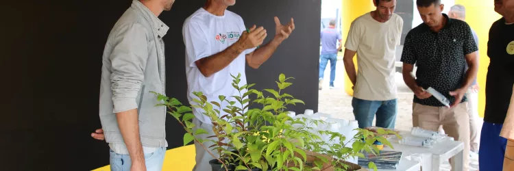 Bahia lança sistema para monitorar perdas de abelhas e fortalecer apicultura