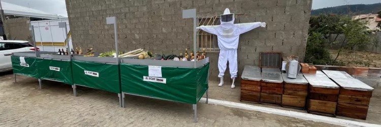 Agricultores de Santa Maria da Vitória e Cravolândia recebem equipamentos para produzir mais e melhor