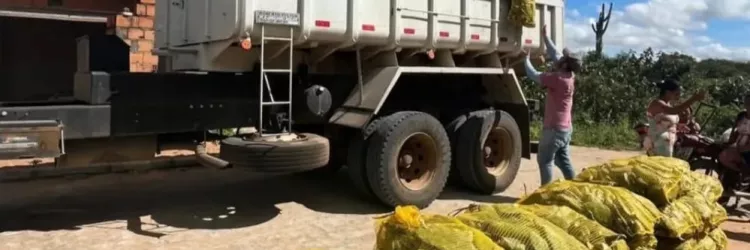 SDR encerra agosto com quase meio milhão  de palmas forrageiras entregues na Bahia