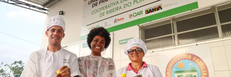 Unidade de beneficiamento de produtos de abelhas eleva produção de méis do Semiárido Baiano