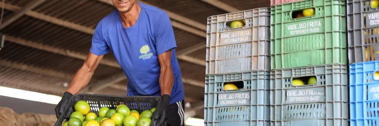 Unidade de Beneficiamento de Frutas fortalece agricultura familiar em Rio Real