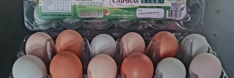 Governo da Bahia entrega primeiras certificações do SUSAF/BA e abre novos mercados para a agricultura familiar