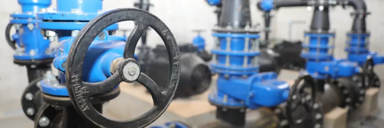 Governo da Bahia entrega 120 hectares irrigados a famílias assentadas em Ponto Novo