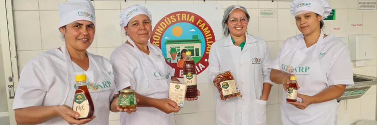 Mel produzido pela agricultura familiar fortalece a alimentação escolar no Semiárido Baiano