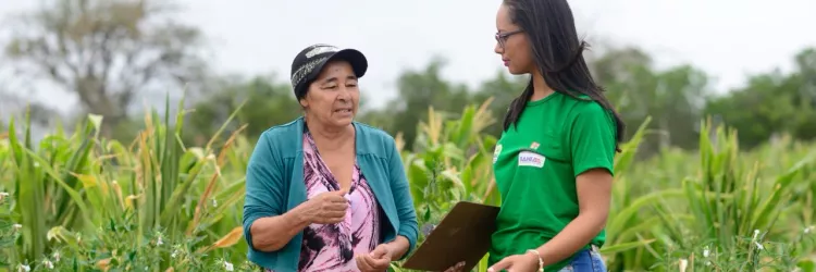 Governo da Bahia lança novo edital para ampliar assistência técnica e extensão rural