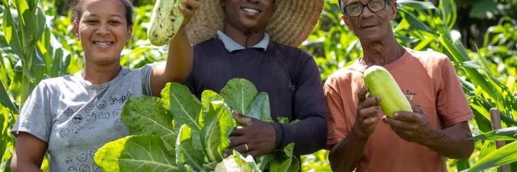 Agricultura Familiar