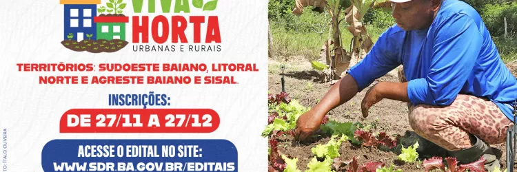 Governo da Bahia reabre seleção do projeto Viva Horta para ampliar cobertura em três territórios
