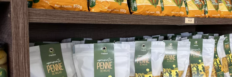 Cardápio da COP30 destaca produtos da agricultura familiar da Bahia