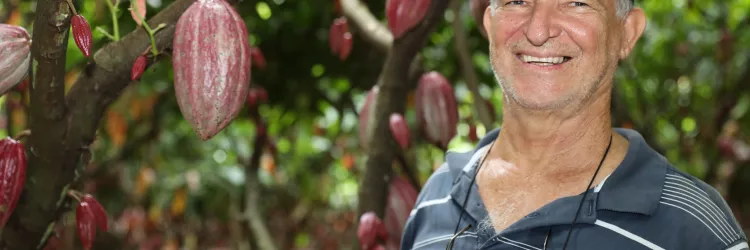 Governo da Bahia ganha protagonismo nacional com articulação para suspensão de importações de cacau da Costa do Marfim